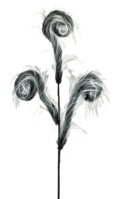 30” Furry Spiral Curly Spray - Black/White