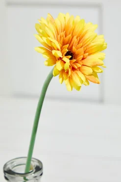 22" Gerbera Daisy Stem