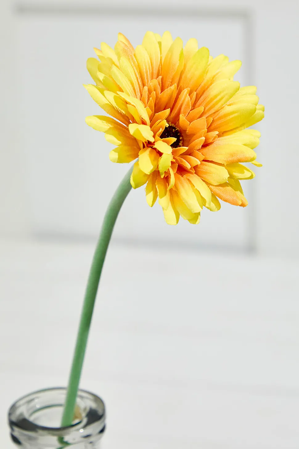 22" Gerbera Daisy Stem