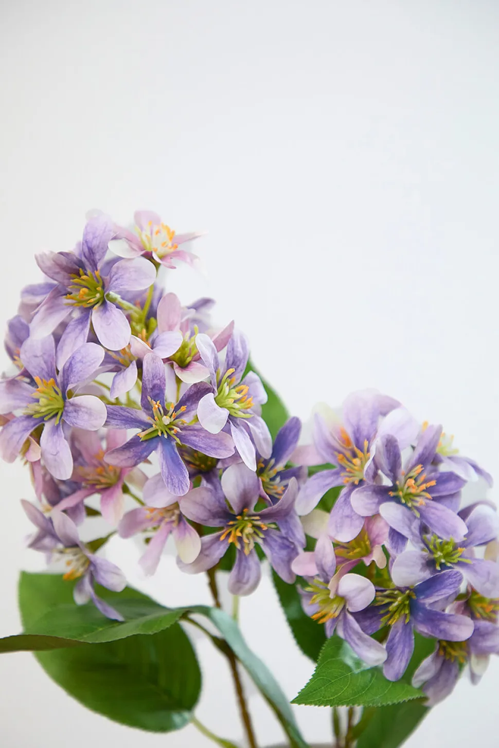 28" Giant Lilac Stem