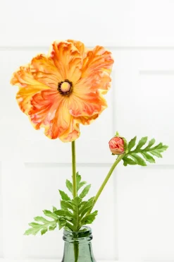 29" Giant Ranunculus Stem