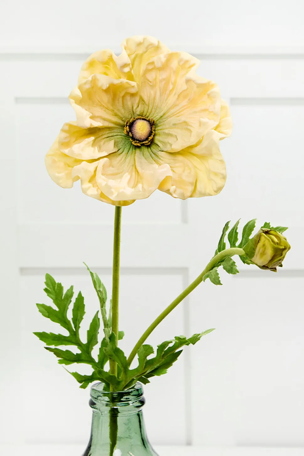 29" Giant Ranunculus Stem