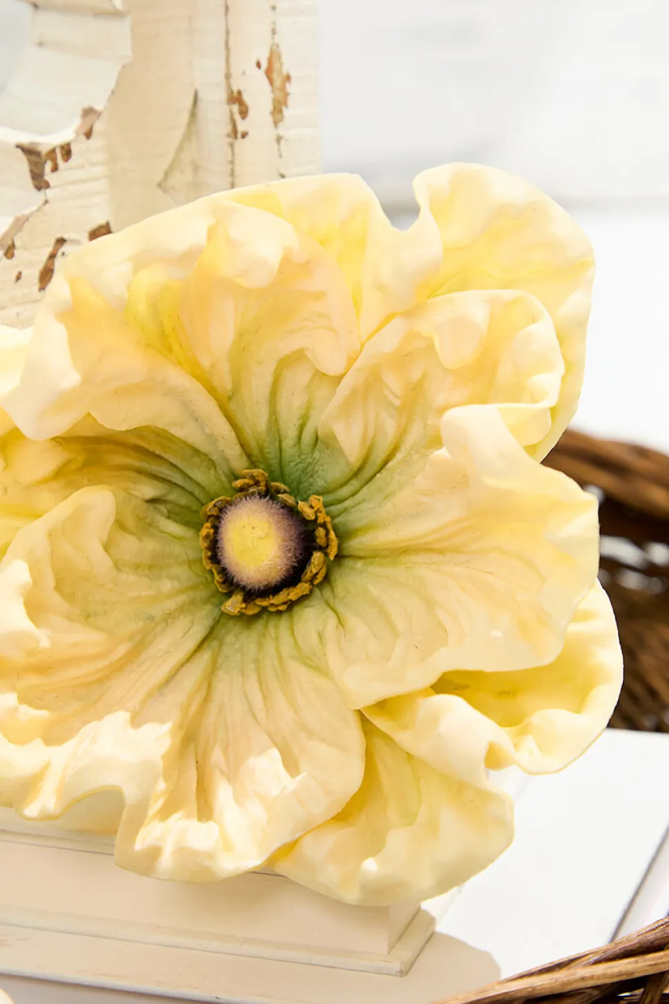 29" Giant Ranunculus Stem