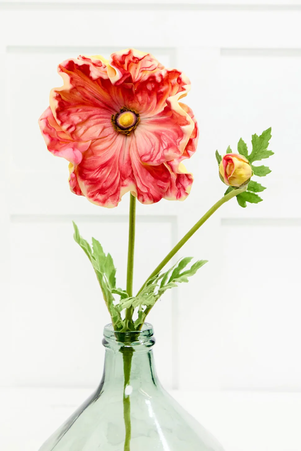 29" Giant Ranunculus Stem