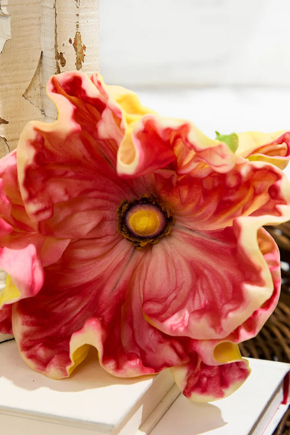 29" Giant Ranunculus Stem