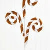 28" Gingerbread Stripe Spiral Curly Spray