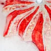 5" Glass Starburst with Jewel Ornament
