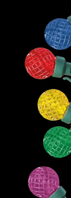 G30 Multi 50 LED Light Set