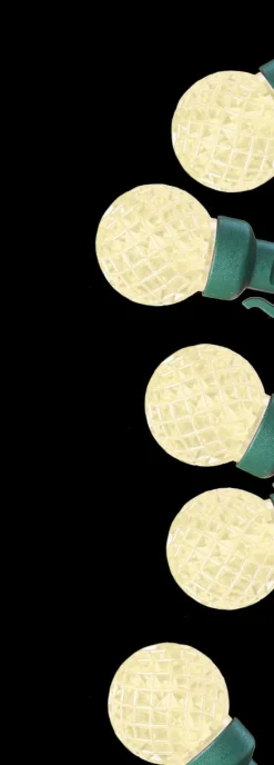 G30 Warm White 50 LED Light Set