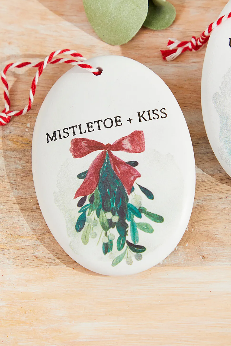 4.5" Holiday Resin Disc Ornament