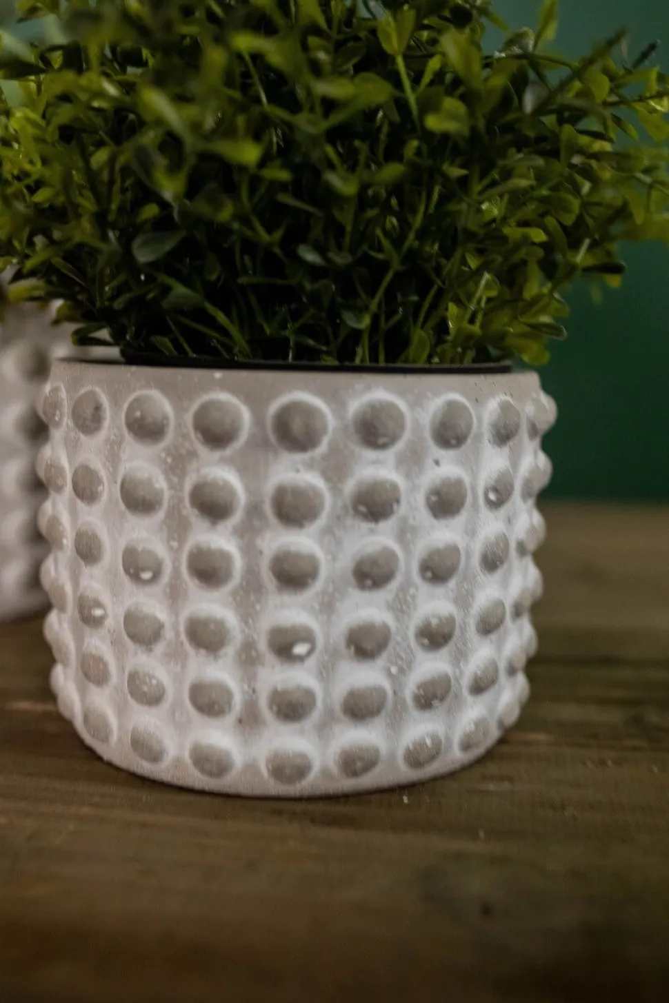 4"H x 5”D Stone Geo Dotted Hobnail Pot