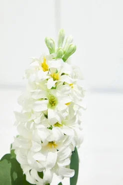 17" Hyacinth Spray