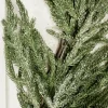 48” Iced Garden Norfolk Pine Garland