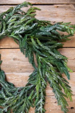 24” Iced Garden Norfolk Pine Wreath