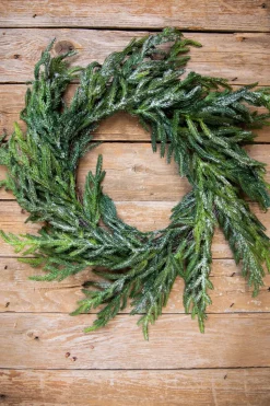 24” Iced Garden Norfolk Pine Wreath