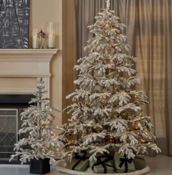 7.5' Jackson Flocked Pine with 600 Warm White LED Lights