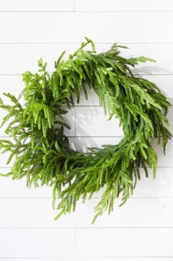 24” Just Cut Norfolk Pine Wreath