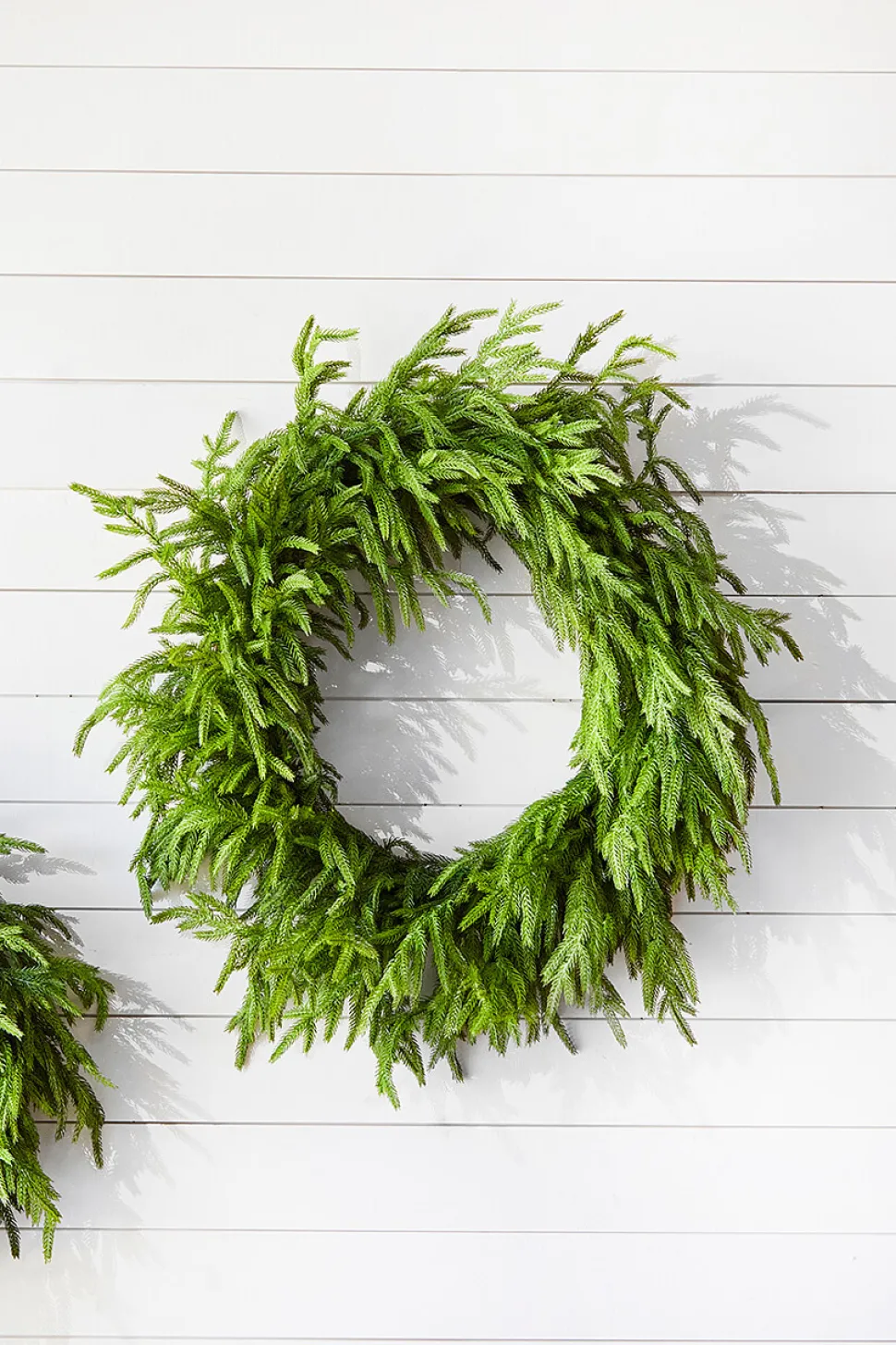 30" Just Cut Real Touch Norfolk Pine Wreath