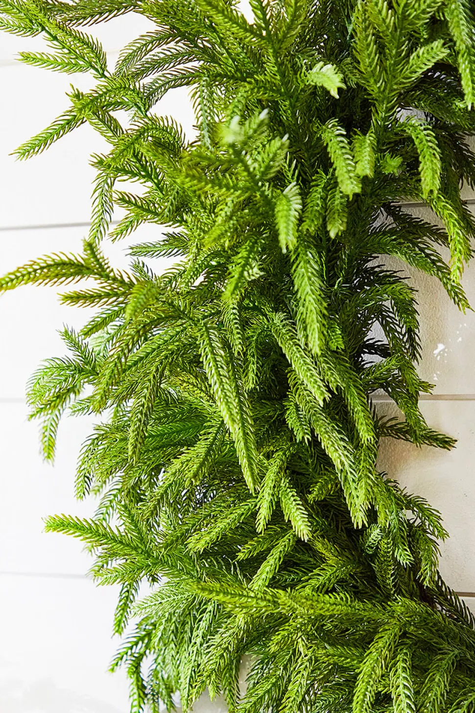 30" Just Cut Real Touch Norfolk Pine Wreath