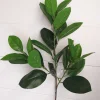 Leafy Green Magnolia Spray