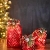 Lighted Holiday Glass Luminary w/ Floral Accent and Timer (battery operated) - Set of 3