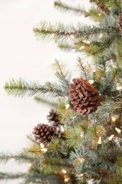 7.5' Mammoth Pine Christmas Tree with 900 Lights