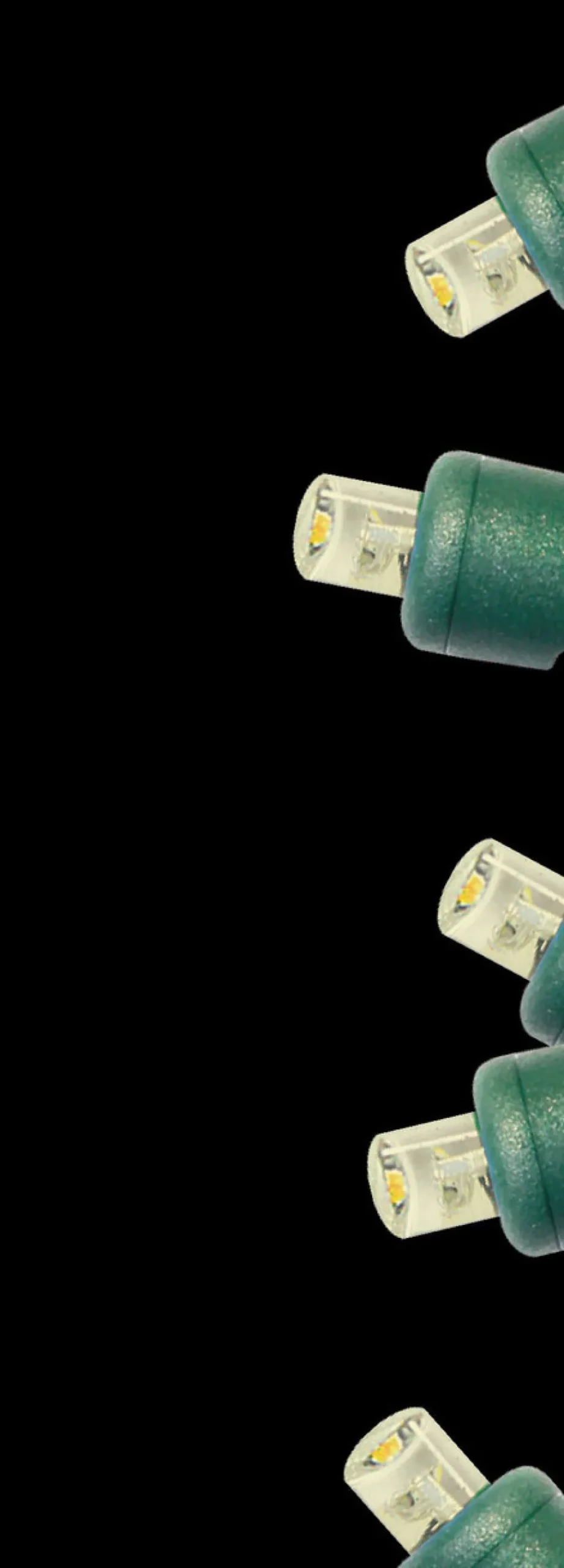 5mm Warm White 100 LED Light Set