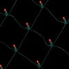 Net Red- 5mm 100L 4'x6'