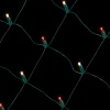 Net Warm White/Red - 5mm 100L 4'x6'