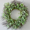 24" Olive Twig Wreath