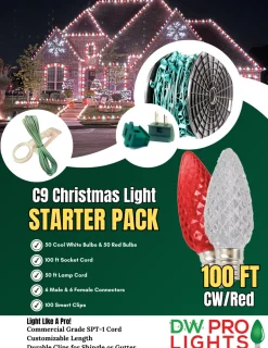 100' Outdoor Christmas Lighting Kit - Cool White/Red