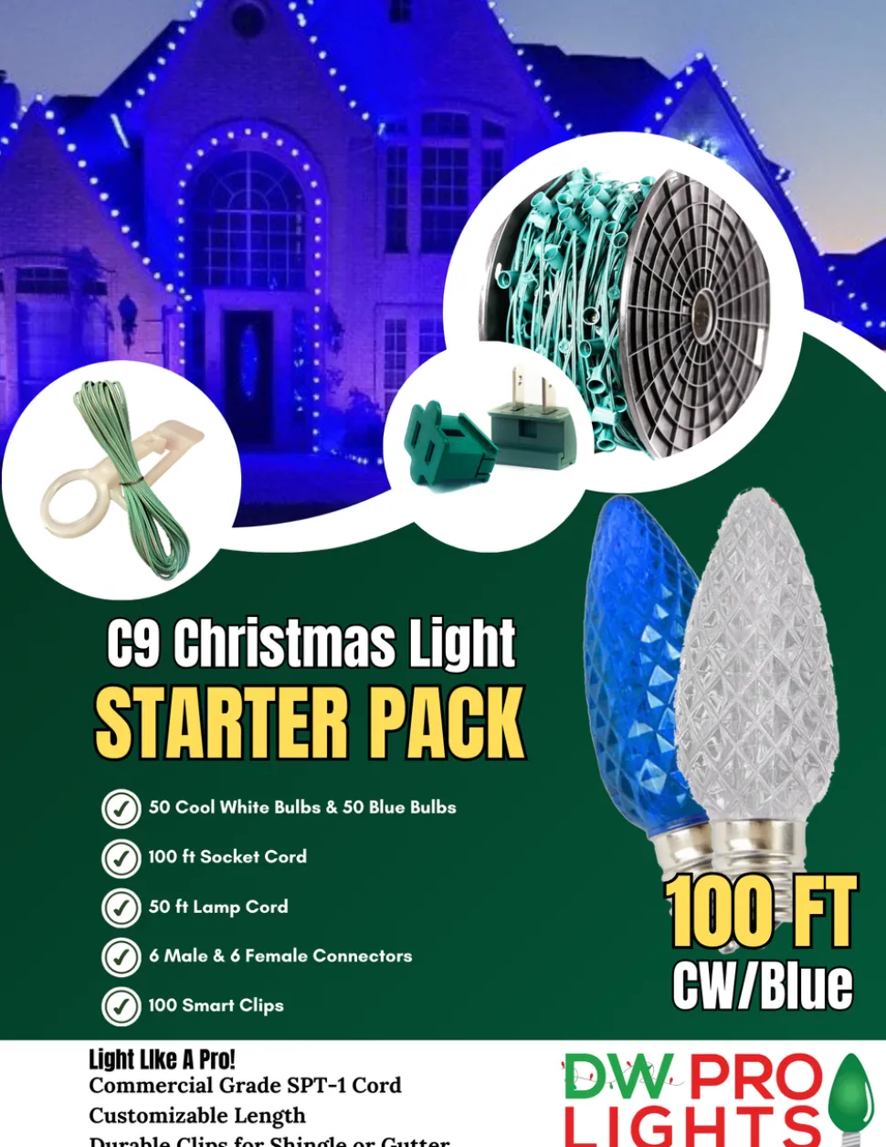100' Outdoor Christmas Lighting Kit - Cool White/Blue