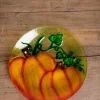 Painted Glass Harvest Pumpkin Plate