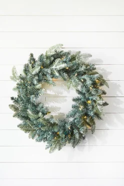 22" Park Hill Frosted Blue Spruce LED Wreath