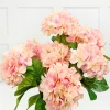 20.5" Peach Hydrangea Bush