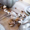 Pheasant Salt & Pepper Shakers - Set of 2