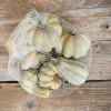 6 Piece Pumpkins & Gourds Set