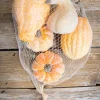 6 Piece Pumpkins & Gourds with Mesh Bag