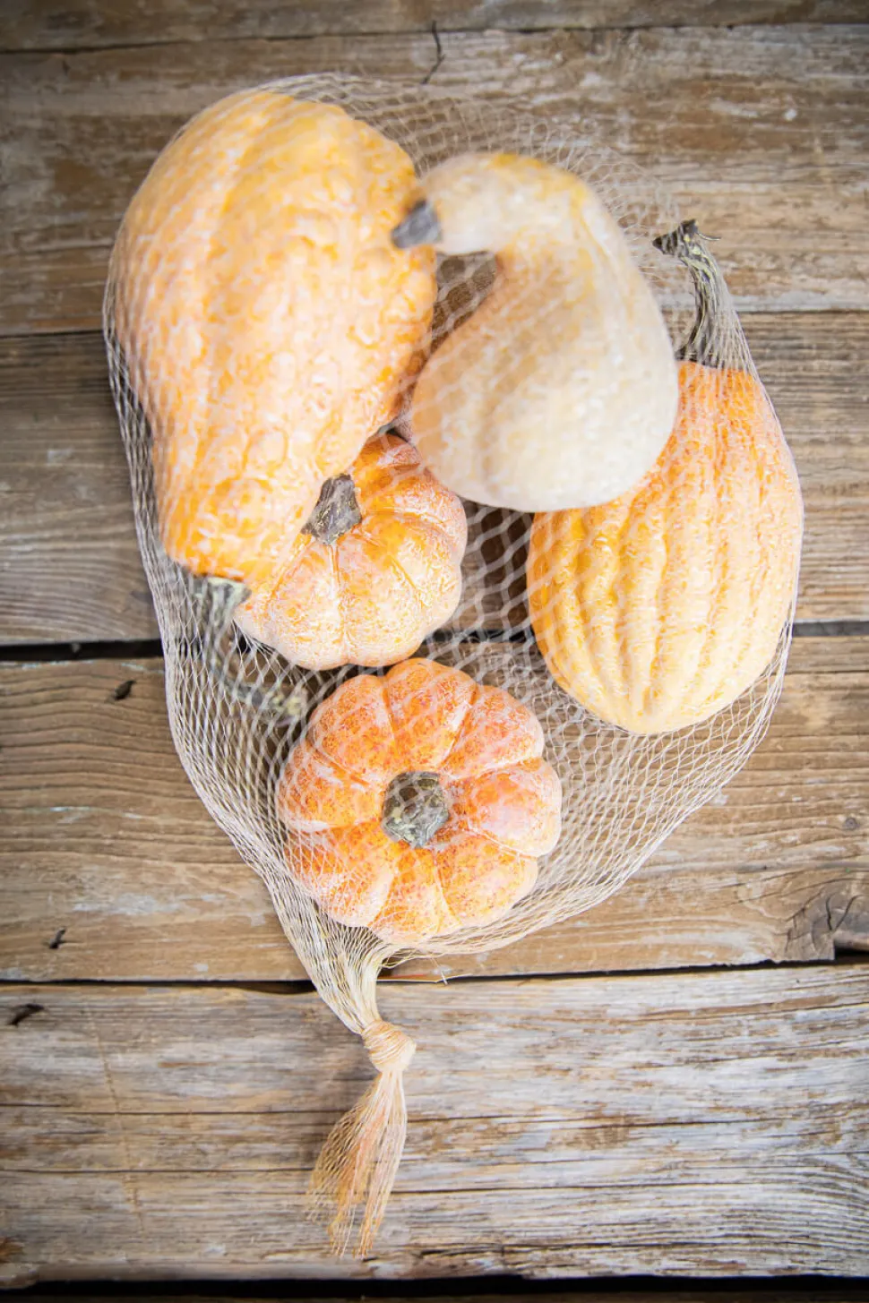 6 Piece Pumpkins & Gourds with Mesh Bag