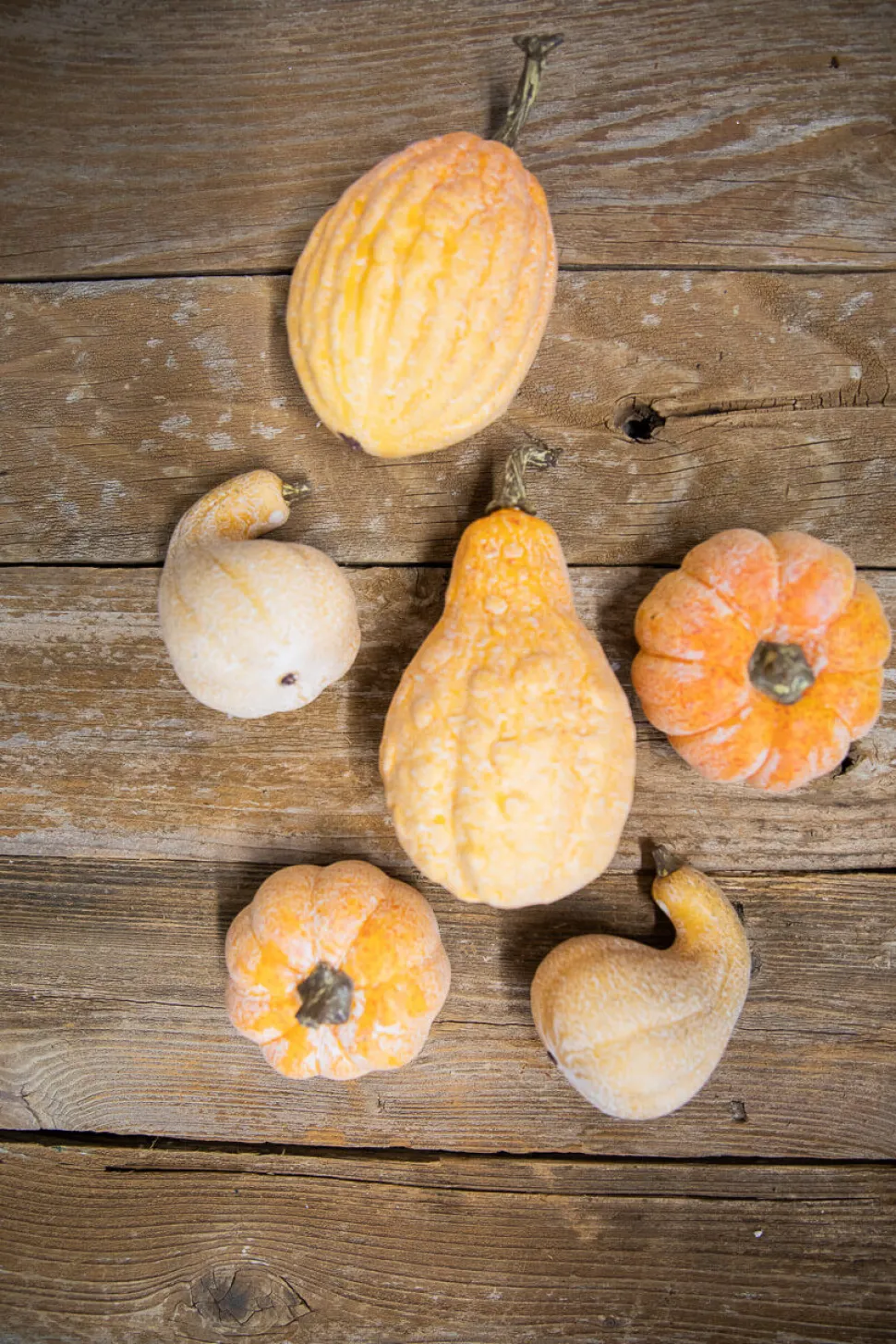 6 Piece Pumpkins & Gourds with Mesh Bag