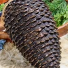 12" Pinecone Ornament