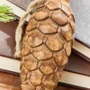 5.75" Pinecone Wood Ornament