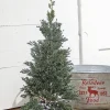 24" Plastic Cedar Tree in Black & White Buffalo Fabric Bucket