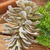 5” Plastic Glitter Long Leaf Pinecone