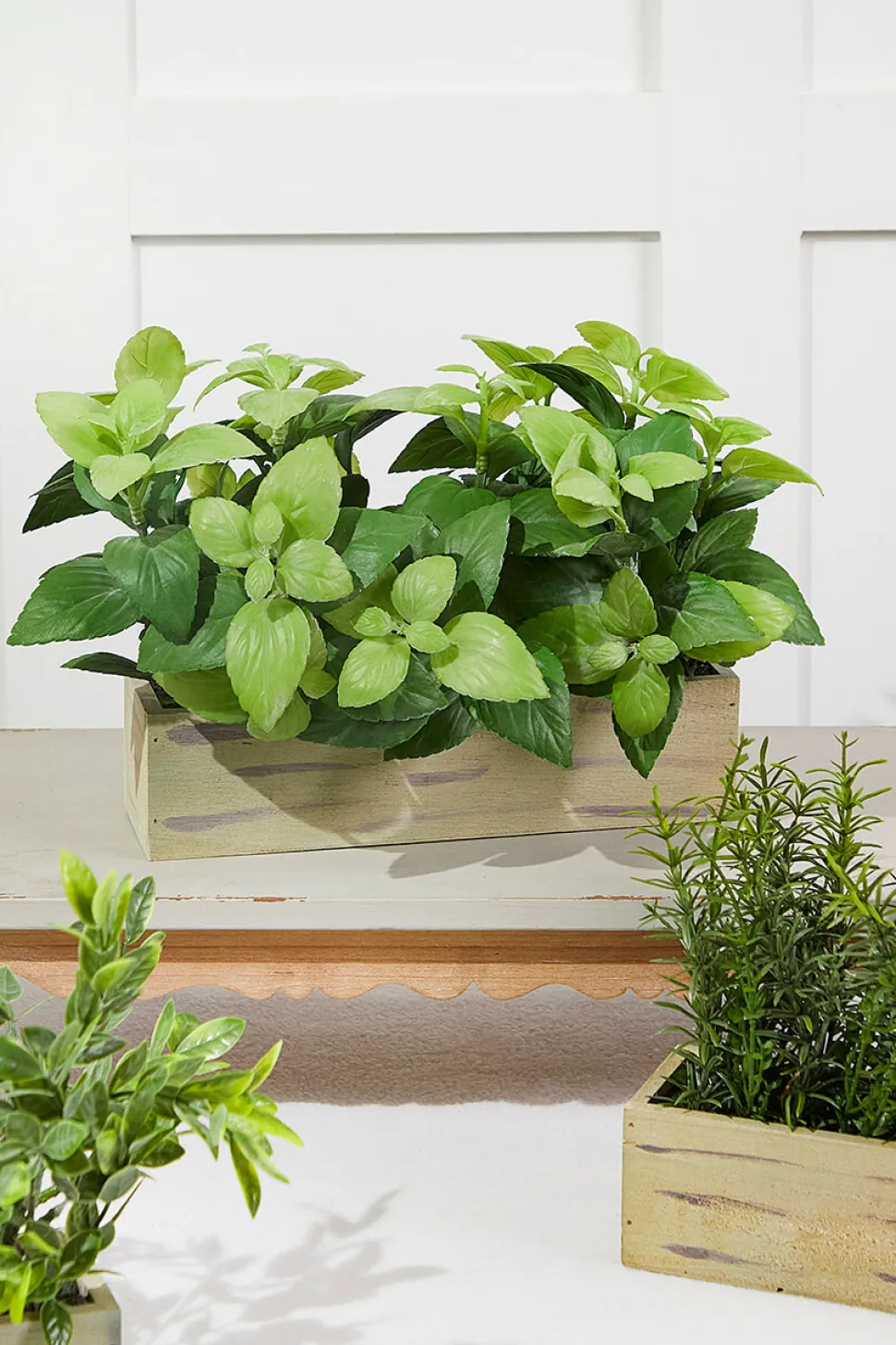 11" Plastic Herbs In Wooden Box