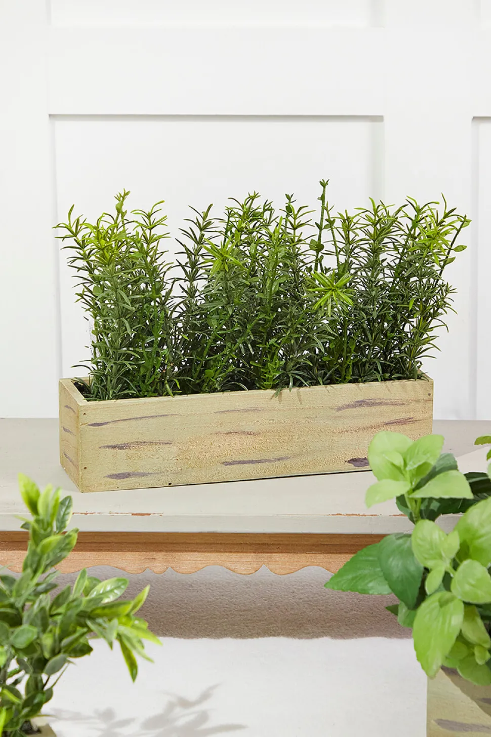 11" Plastic Herbs In Wooden Box