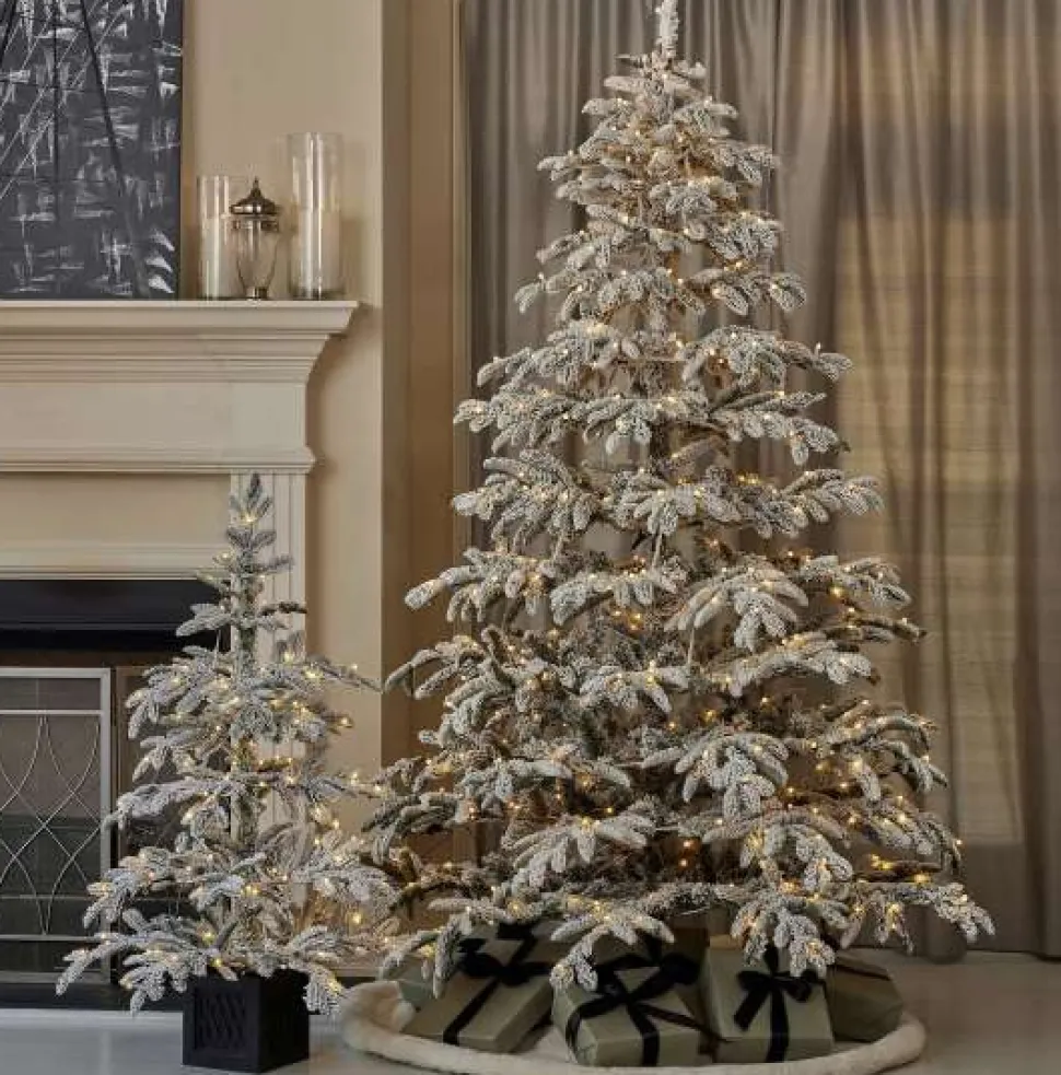 4' Potted Jackson Flocked Pine with 150 Warm White LED Lights
