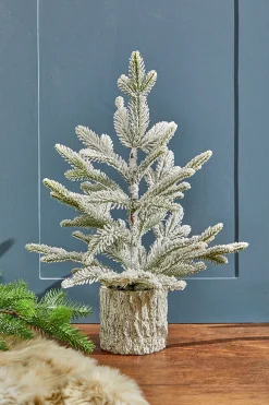 18" Potted Noble Fir Tree with Snow