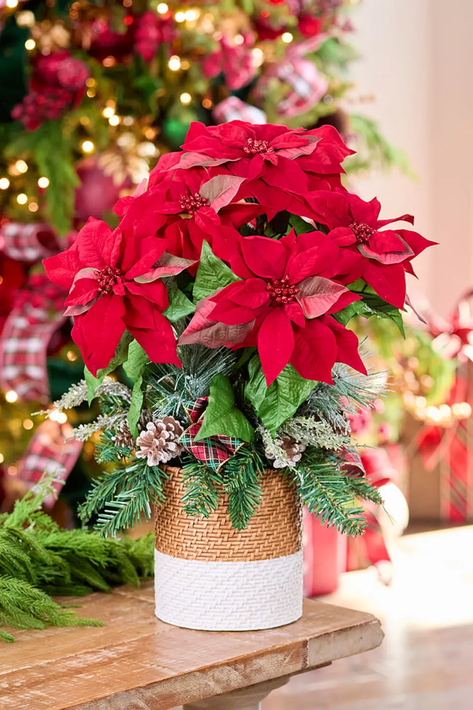 24" Potted Poinsettia