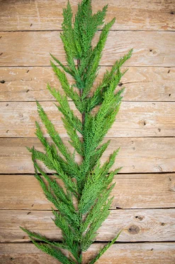 48” Real Touch Lebanon Cedar Full Garland